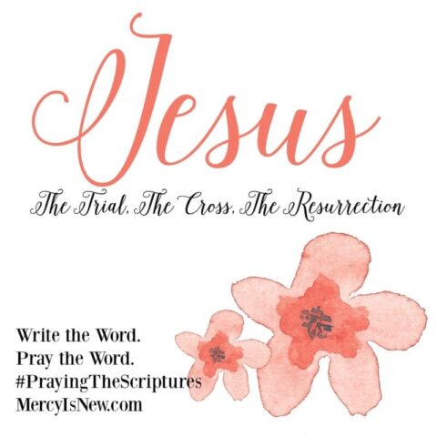 Jesus from the Book of Matthew: Write the Word. Pray the Word.