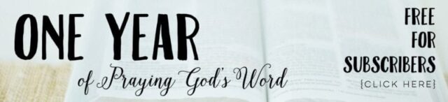 One Year of Praying God's Word long ad