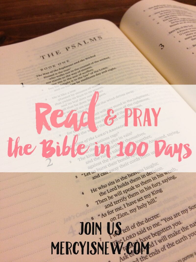 The Bible in 100 Days