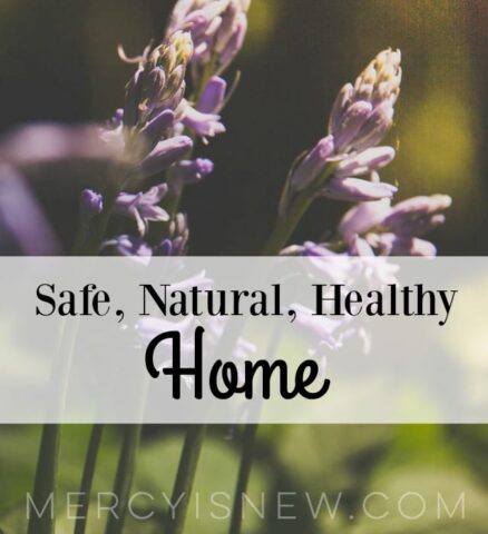 Safe Natural Healthy Home