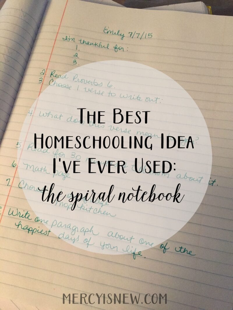 The Best Homeschooling Idea Ever
