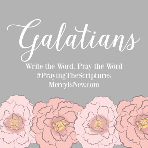 Write the Word Galatians square