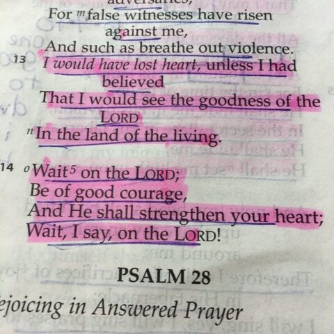 how do we not lose heart? Psalm 27