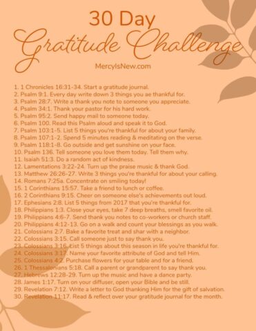 Gratitude Challenge Day 1