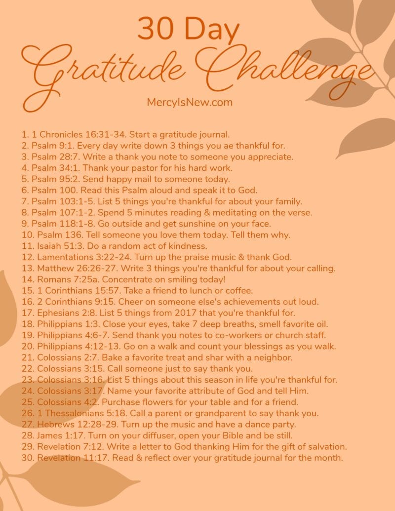 Gratitude Challenge Day 1