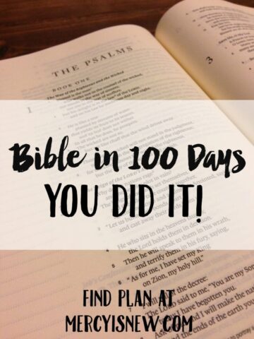 Bible in 100 Days You Did It
