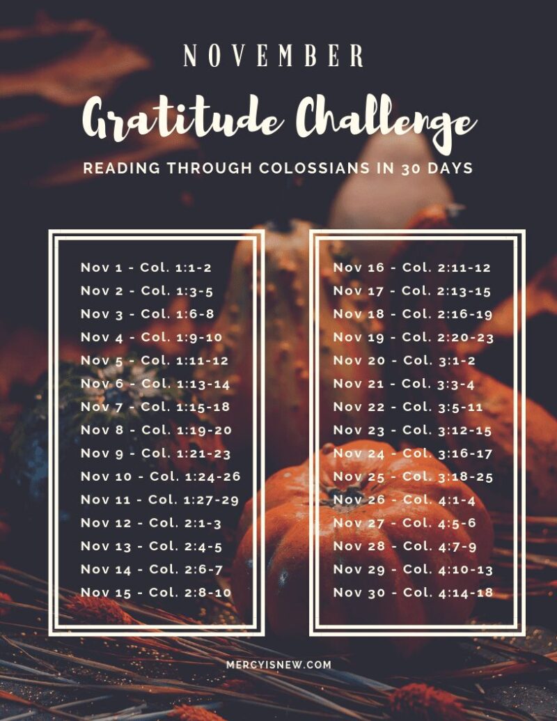 Join me in November for a Gratitude Challenge…