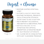 5 Day Cleanse