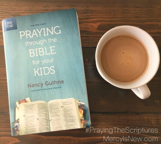 one-year-prayingthrough-the-bible