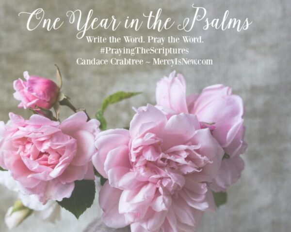 One Year in the Psalms COVER