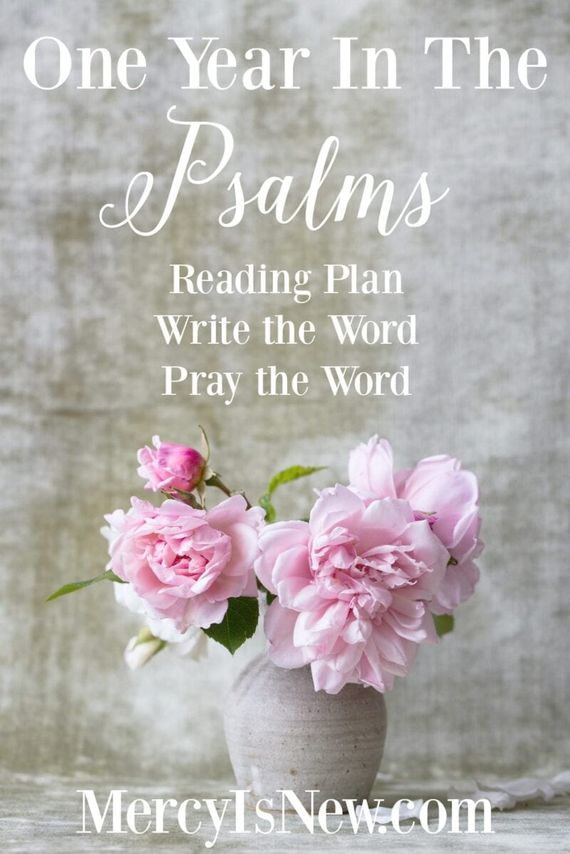 One Year in the Psalms LONG