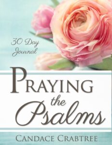 Ebook: Praying the Psalms