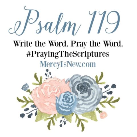Psalm 119 Write the Word Pray the Word 2