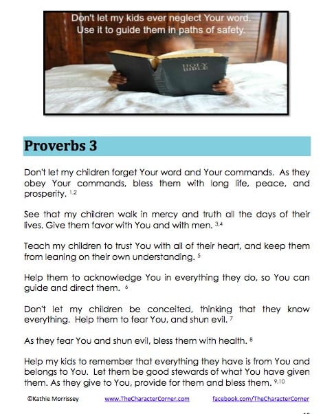 Sample Praying Through Proverbs