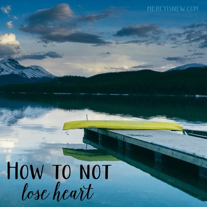 how to not lose heart